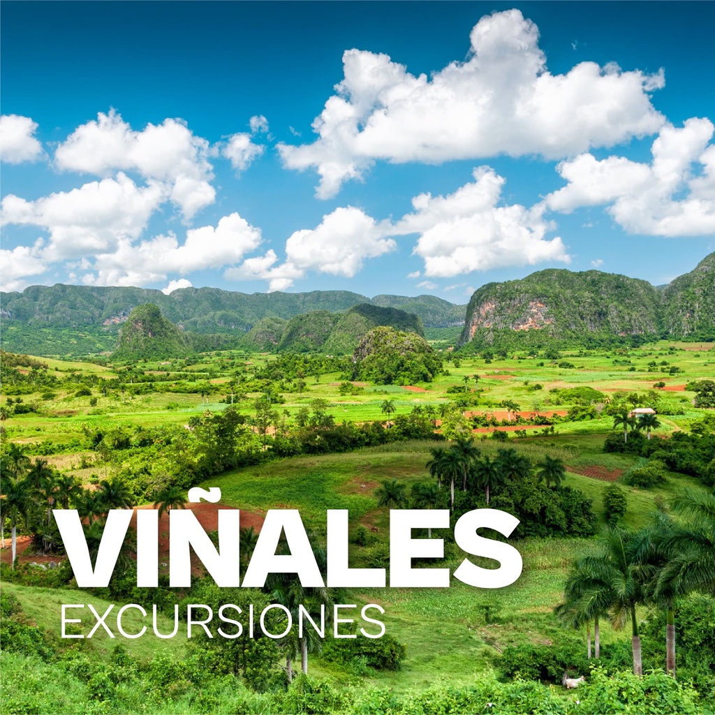 Excursion Viñales